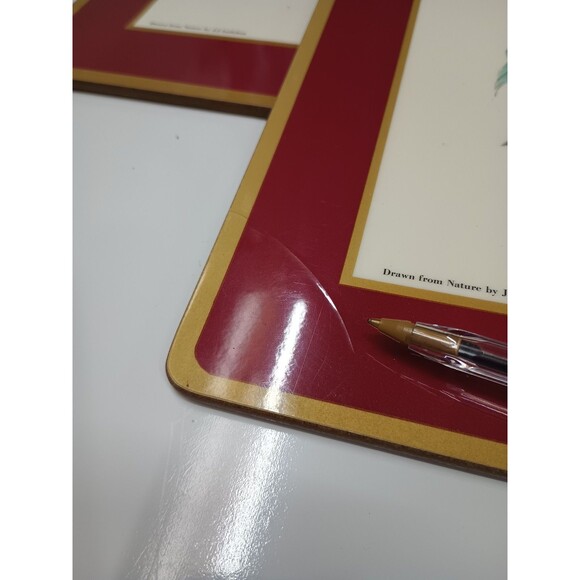 pimpernel placemats set 4 Audubon Birds Red Cardinal Indigo Grosbeak Cork Havell - Picture 6 of 10